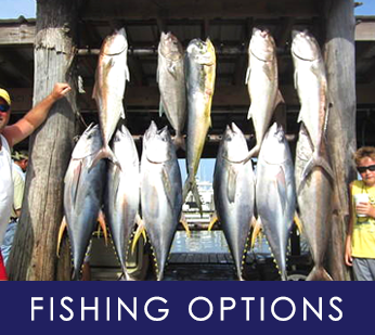 Fishing Options