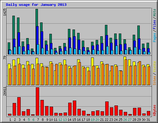 Daily usage for January 2013