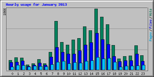 Hourly usage for January 2013